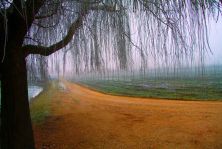 20inverno nella bassa veronese italy.jpg